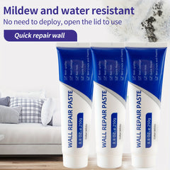Waterproof Wall Repair Paste 250g