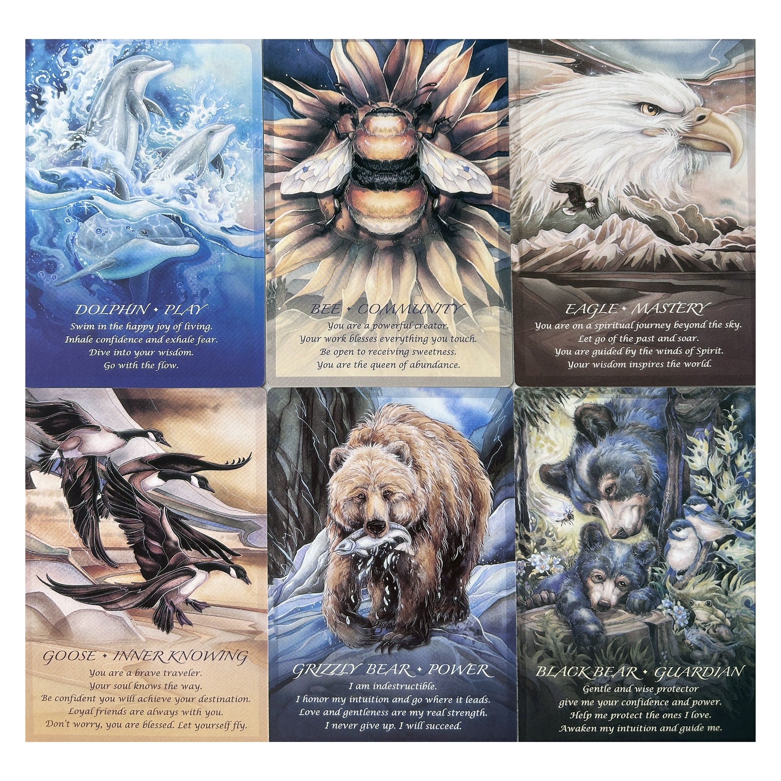 Large Oracle Cards with Learning Guide - Fortune Telling Game