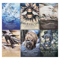 Large Oracle Cards with Learning Guide - Fortune Telling Game
