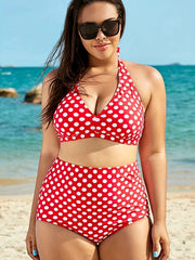 Polka Dot V Neck Halter Bra & High Rise Panty Swimsuit Set