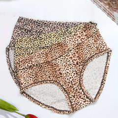 3 Pack Plus Size Leopard Print Briefs Set