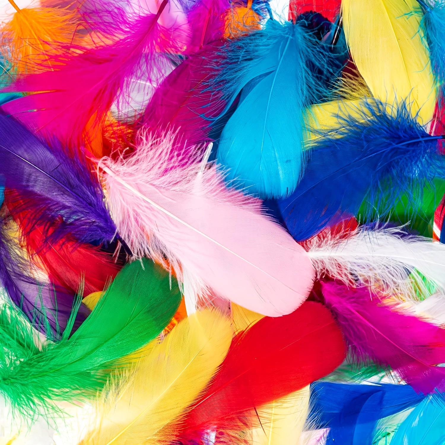 100 Colorful Feathers DIY Craft Jewelry Wedding Party Decorations