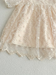 Toddler Girls' Lace Sweet Princess Dress For Party