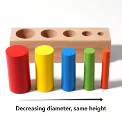 Wooden Matching Stick Training Recognition Hand Fine Motor Skills