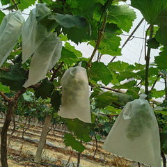 200pcs Non-woven Grape Bag Lotus Mist Bird Proof Fruit Bag 6-7 inch