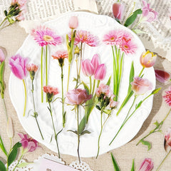 Vintage Plants Flowers Leaves Transparent Stickers Nature Floral Stickers