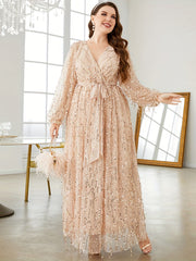 Sequin Fringe Lantern Sleeve Maxi Dress
