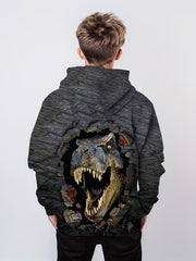 Kids Dinosaur Tyrannosaurus Hoodie 3D Print Sweatshirt Hip Hop Street Style