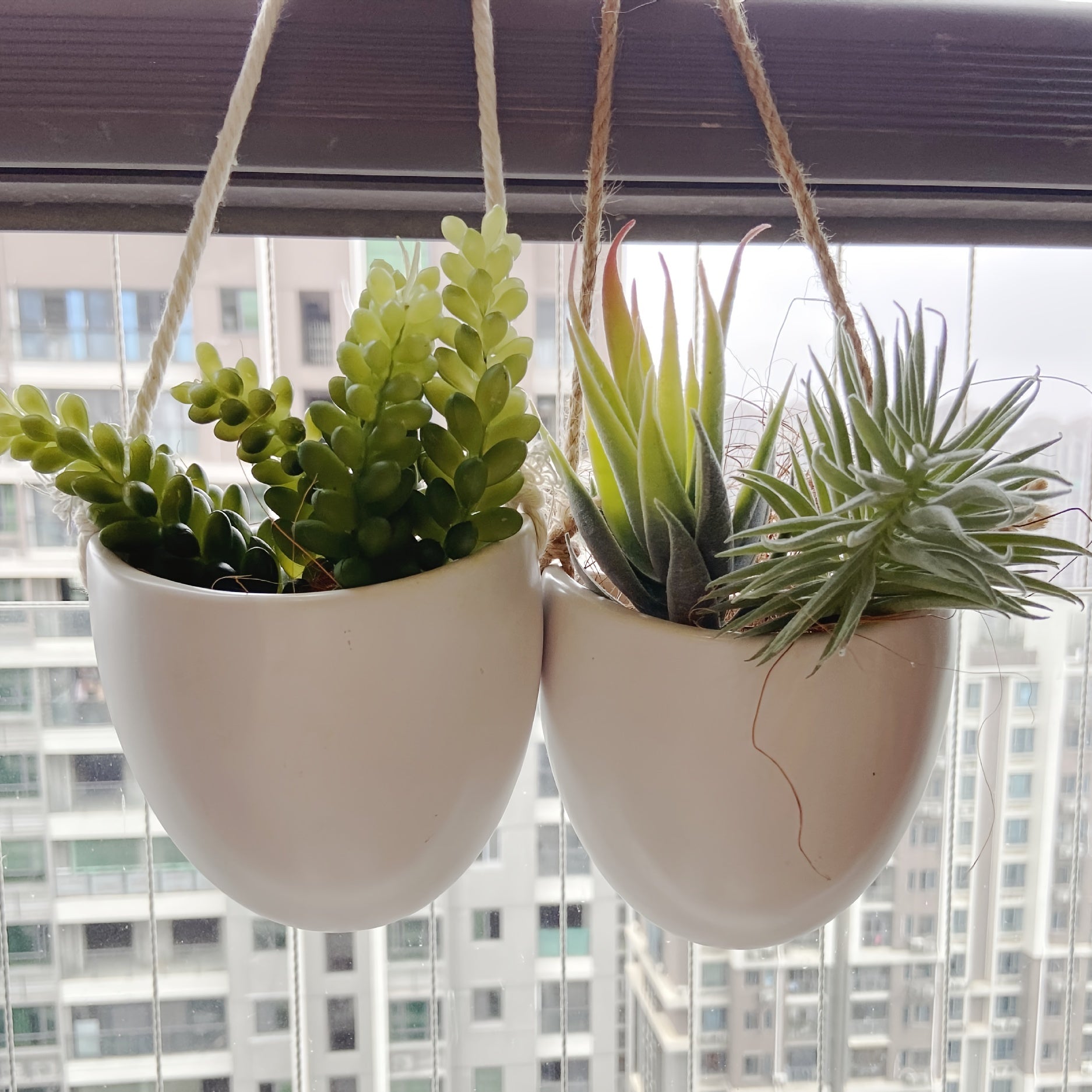 Minimalist Style Hanging Basin for Succulent Flowers