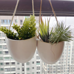 Minimalist Style Hanging Basin for Succulent Flowers
