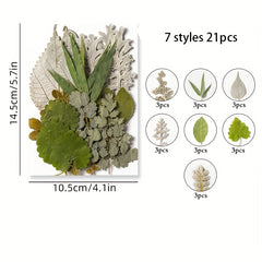 Dried Flower Embossed DIY Face Stickers True Leaves Plant Specimens