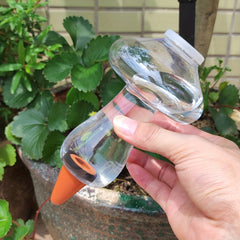 Automatic Mushroom Watering Device for Balcony Succulents