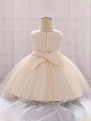 Girls Sleeveless Princess Dress Flower Embroidery Bow Tulle Tutu Dress