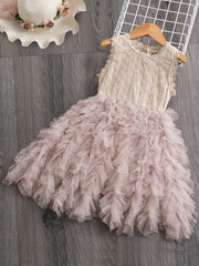 Toddler Girls Flower Embroidery Tutu Party Dress