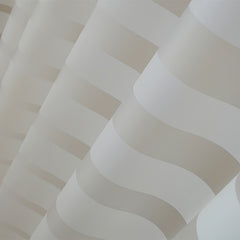 Waterproof Stripe Shower Curtain with 12 Hooks