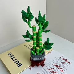 Fortune Lucky Bamboo Jiejie High Rise Creative Potted Flower Bouquet