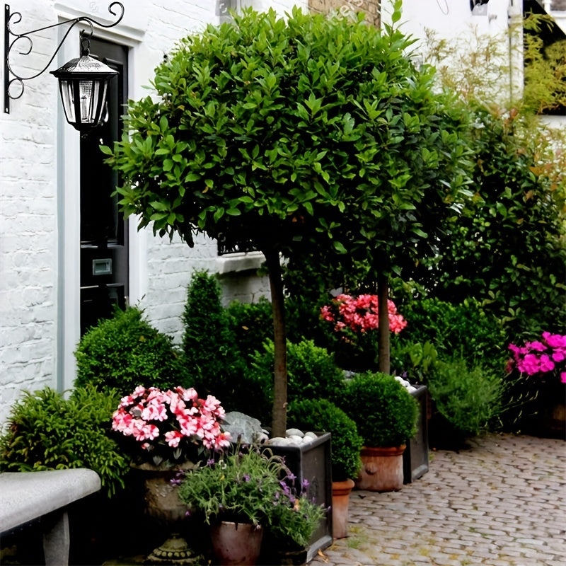 Beautiful Hanging Flower Holders for Your Garden