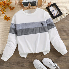 Dino Print Boys Sweatshirt Long Sleeve Crew Neck Tops