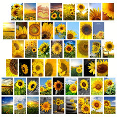 50pcs Sunflower Postcards for Sunflower Enthusiasts, Wall Art Decoration
