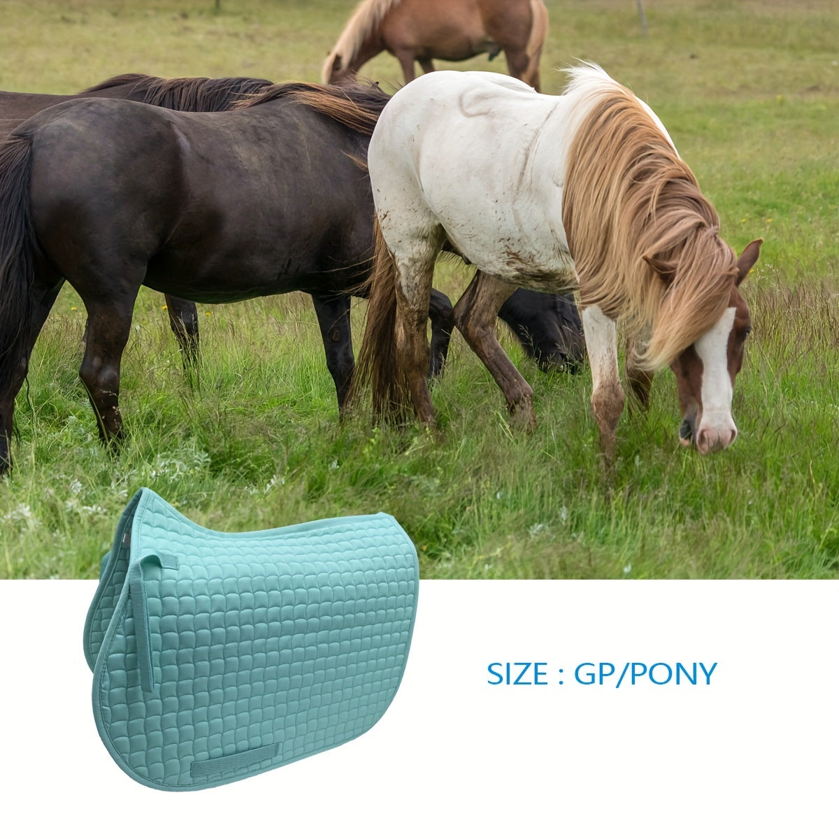 Quick Dry Dressage Saddle Pad For Horses Small Size Multifunctional