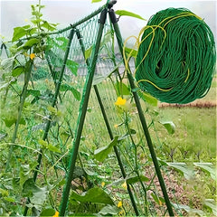 Plant Compartment Rack Pergola Heavy Duty Polyester Planting Net