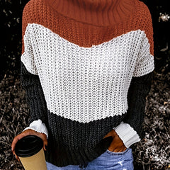 Colorblock Turtleneck Sweater