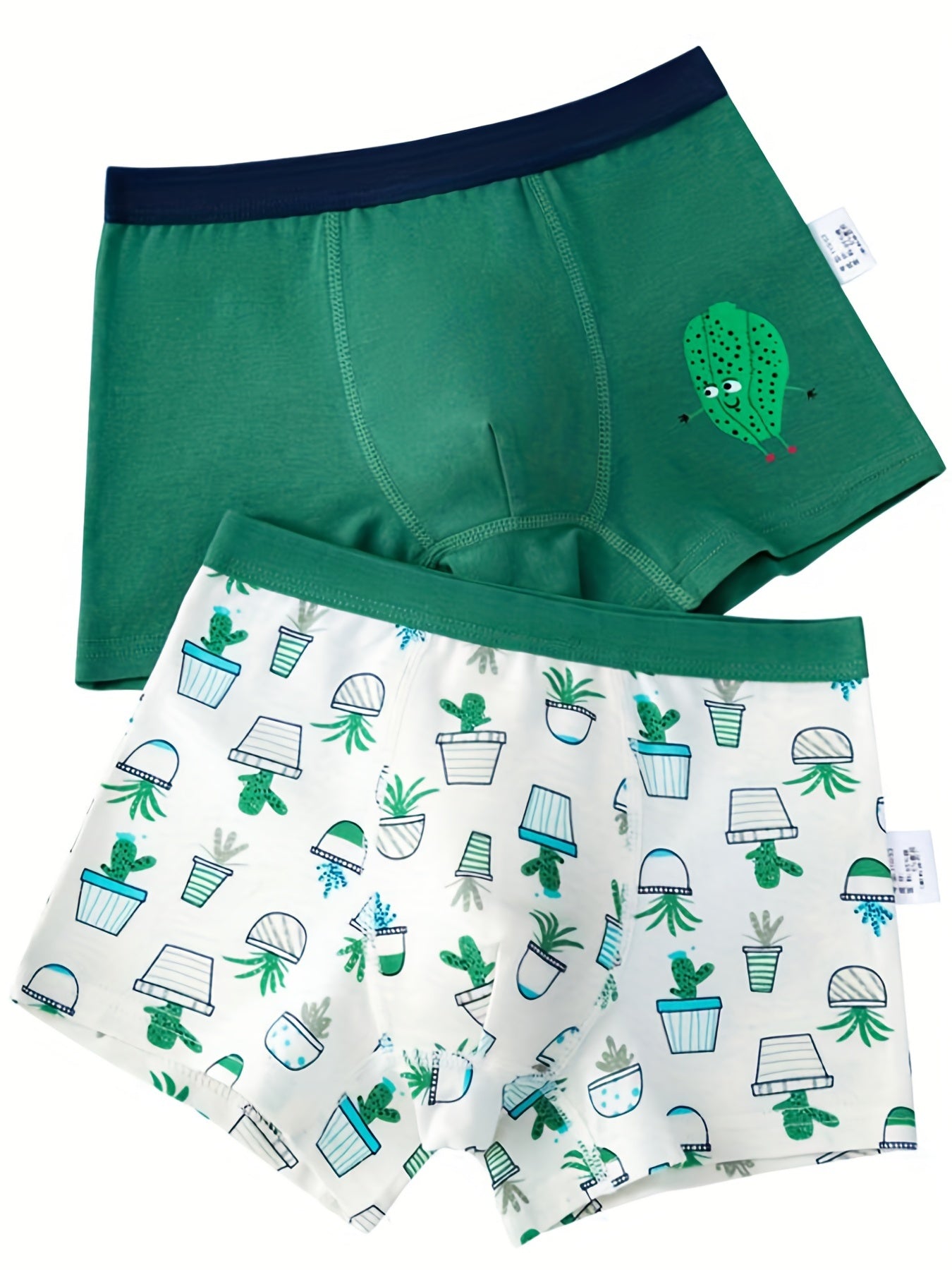 2pcs Boy's Boxer Briefs Cartoon Cactus Print Elastic Waist Shorts
