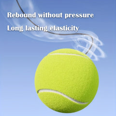 3 High Elasticity Tennis Balls for Outdoor Sports & Family Games
