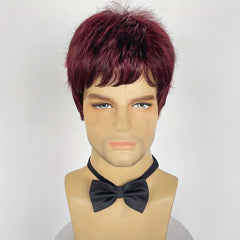 Men's Short Wig for Parties and Holidays