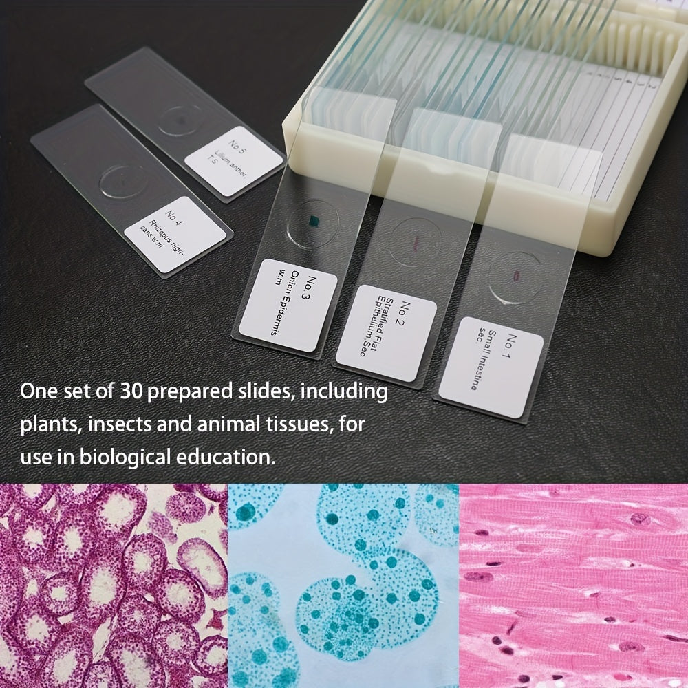 30pcs Biological Glass Sample Prepared Basic Science Specimen Set