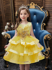 Layered Mesh Sleeveless Puffy Dress for Girls