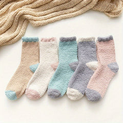 5 Pairs Colorblock Coral Fleece Socks Women's Stockings