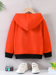 Dino 3D Print Boys Hooded Sweatshirt for Spring Fall