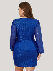 Sequin Long Sleeve Occasion Dress