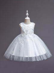 Girls Sleeveless Puffy Princess Dress Flowers Embroidery Mesh Tutu Dress