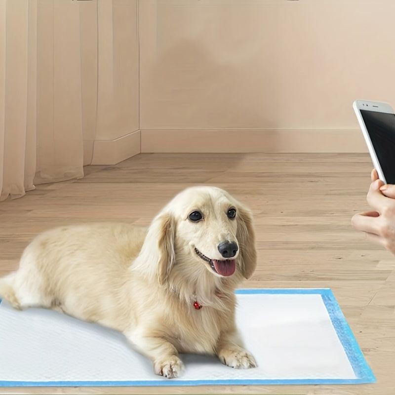 100pcs Dog Potty Training Mats Absorbent Leak Proof Dog Pee Pads