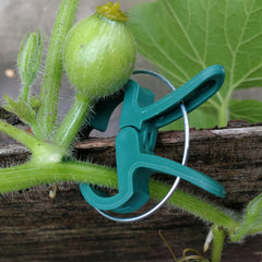 20pcs Plant Clips for Tomato Cage, 2 Sizes, Reusable Plant Supports Clips