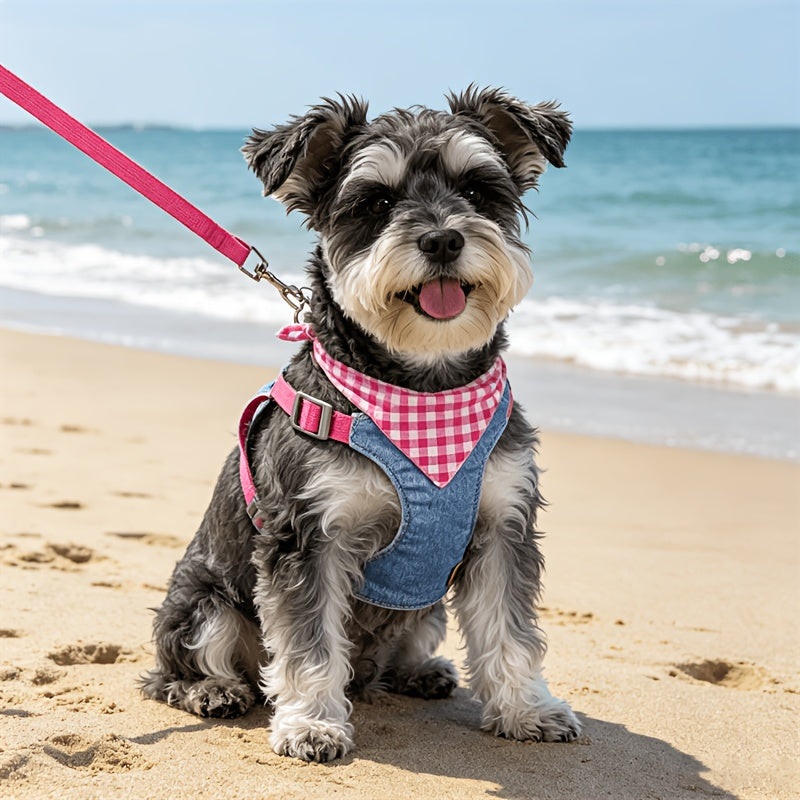 img_5537295