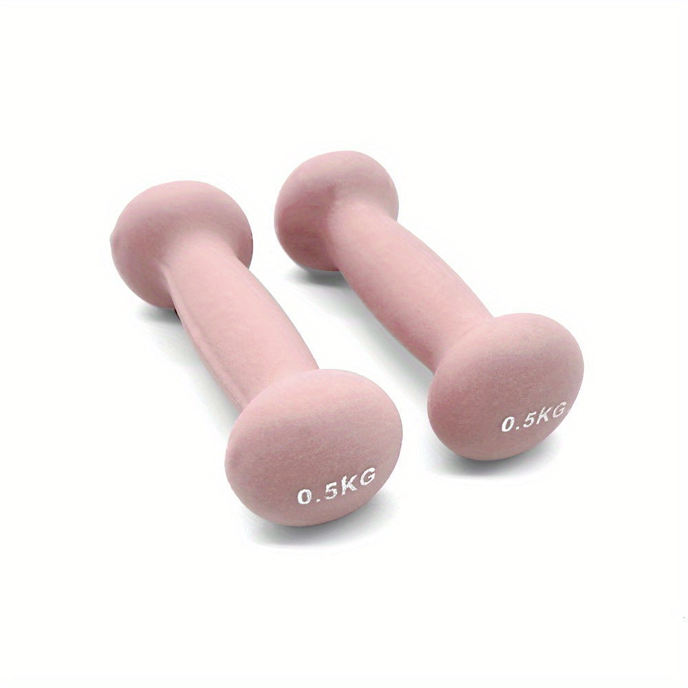 Pair of Solid Iron Dumbbells for Strength Training