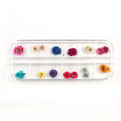 Natural Dried Flower Daisy Pressed Dried Flower With Leaf Resin Mold Fillings