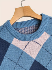 Men's Casual Loose Fit Sweater Crew Neck Pullover for Fall Winter
