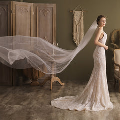 Romantic Lace Bridal Veil, Hand Washable Mesh, Short Hair Veil