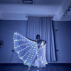 LED Glowing Wings For Adult Belly Dance 240 LEDs