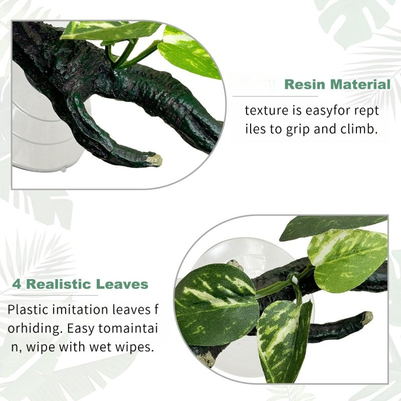 img_6358442