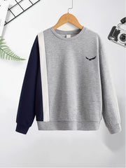 Boys Stylish Eagle Print Sweatshirt Long Sleeve Crew Neck Top