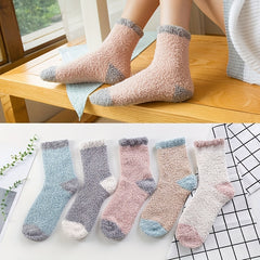 5 Pairs Colorblock Coral Fleece Socks Women's Stockings