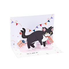 Funny Cat Birthday Card Pop Up Greeting Card For Friends Parents Siblings