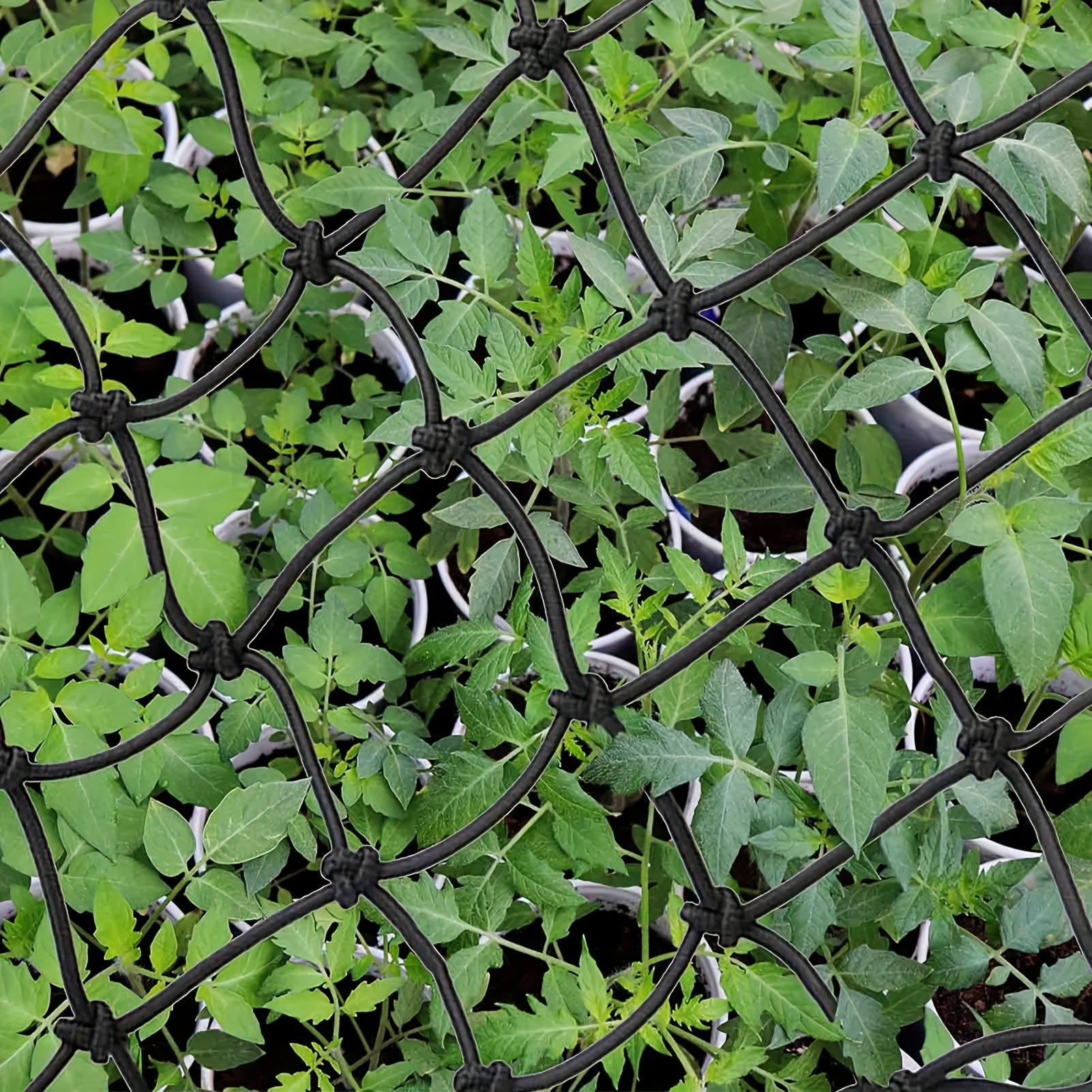 2 Packs Plant Scrog Net Trellis Netting for Indoor Grow Tents