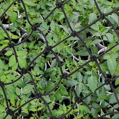 2 Packs Plant Scrog Net Trellis Netting for Indoor Grow Tents