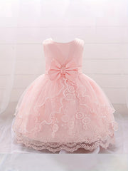 Infant Toddler Girls Pompadour Dress Embroidery Mesh Flower Girl Birthday Dress